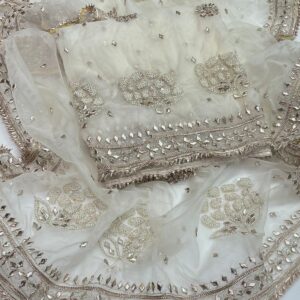 Pearl Gota Work Organza 2 Pc Suit