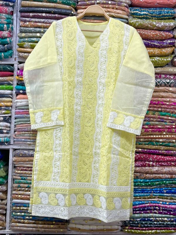 Pure Khaddi Net Shirt with Chikenkari Work for Summer (Stitched) - Image 2