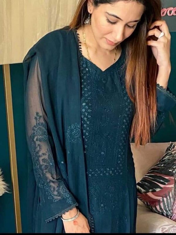 ChikanKari Shadow Mirror Embroidered Chiffon 2 Pc Unstitched - Image 3