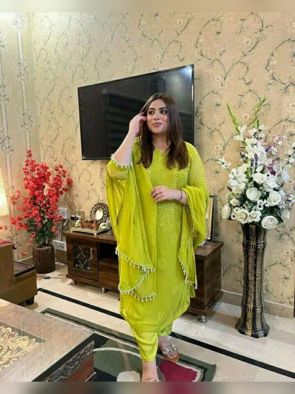ChikanKari Shadow Mirror Embroidered Chiffon 2 Pc Unstitched