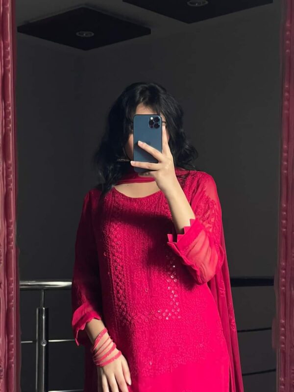 ChikanKari Shadow Mirror Embroidered Chiffon 2 Pc Unstitched - Image 4