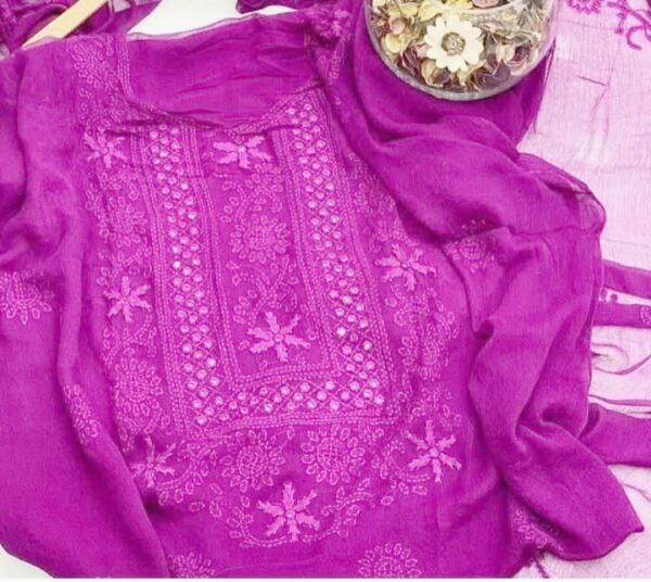 ChikanKari Shadow Mirror Embroidered Chiffon 2 Pc Unstitched - Image 13